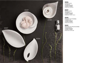 Linea Lily